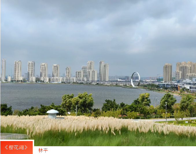 AGׯ�С�(�й�)����