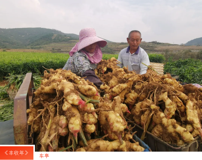 AGׯ�С�(�й�)����