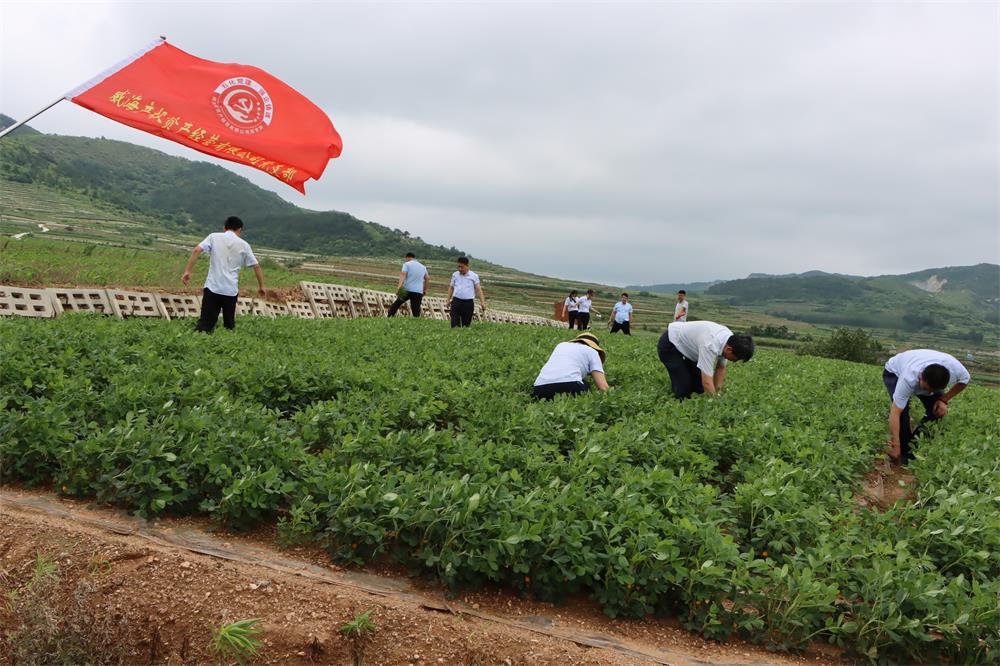 AGׯ�С�(�й�)����