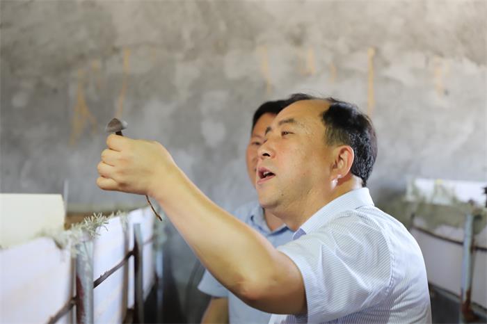 AGׯ�С�(�й�)����