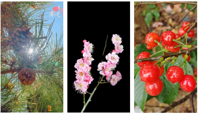 AGׯ�С�(�й�)����