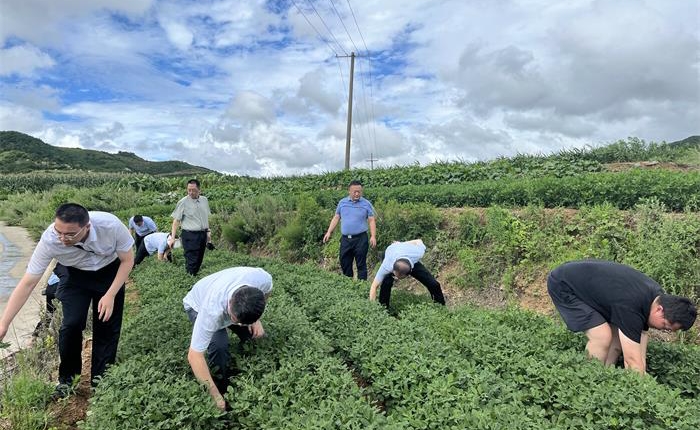 AGׯ�С�(�й�)����