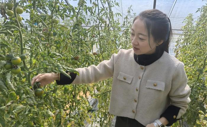 AGׯ�С�(�й�)����